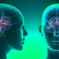 Исцеление и регенерация гиппокампа