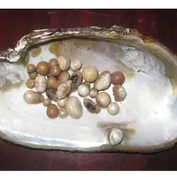 Пресноводная жемчужница: исчезнуть нельзя выжить