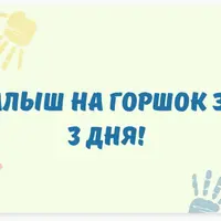 На горшок за 3 дня