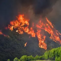 Экологические итоги 2021 года