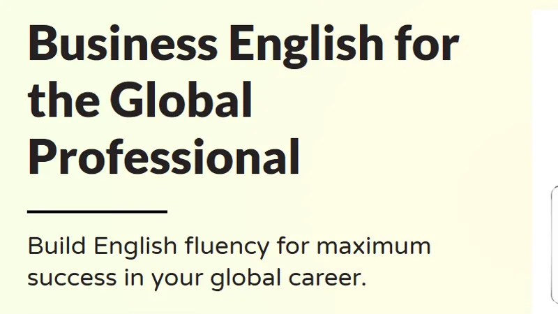 Business English for the Global Professional