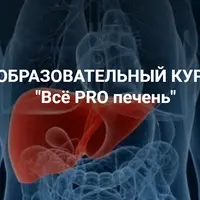 Всё PRO печень