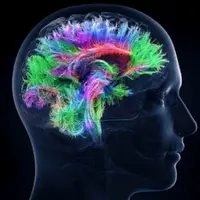 Активируйте 100% потенциал мозга - Частота мозга гениев