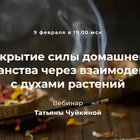 Открытие силы домашнего пространства через взаимодействие с духами растений
