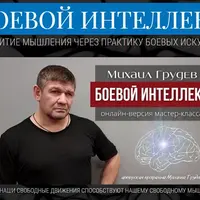 Боевой интеллект