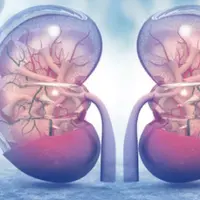 Частоты для детоксикации: Естественное очищение почек 625 Гц