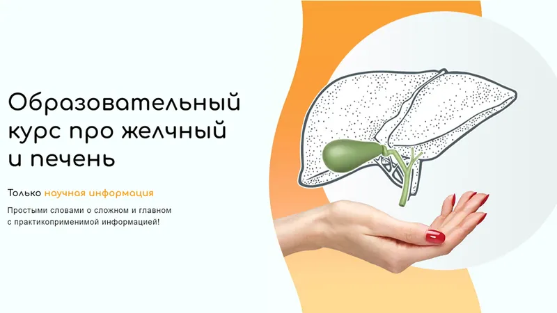 Образовательный курс про желчный и печень