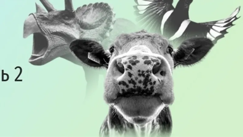 Жизнь на земле. часть 2