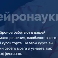 Мозг и нейронауки