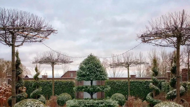 Практический ландшафтный дизайн