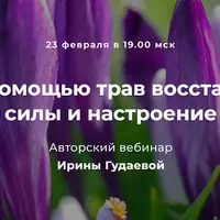 Как с помощью трав восстановить силы и настроение
