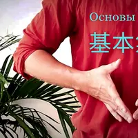 Основы Цигун
