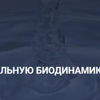 Архитектор здоровья. Введение в краниосакральную биодинамику