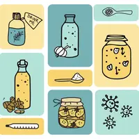 Ферментация для иммунитета