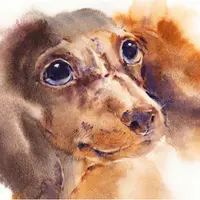 Портрет собаки акварелью в авторской технике