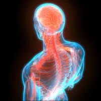 Стимулятор спинного мозга