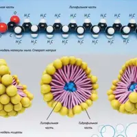 Здоровое питание. Микронутриенты