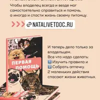 Первая помощь питомцу