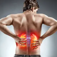 Реставратор почек