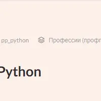 Разработчик Python