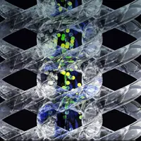 Спать от 4 до 6 часов в сутки. Активация генов DEC2, ADRB1, NPSR1