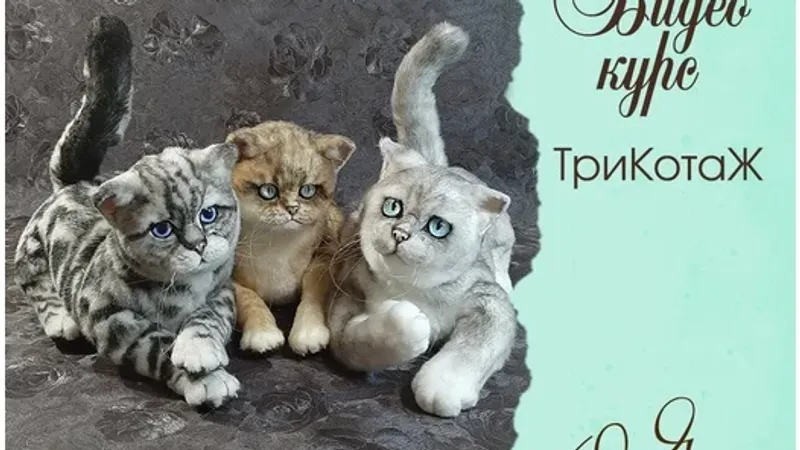 ТриКотаЖ