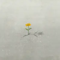 Исцеление от накопленной травмы