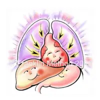 Движение органов как составляющая здоровья, выравнивания и гибкости