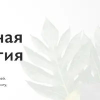 Интегративная нутрициология. Модуль 2