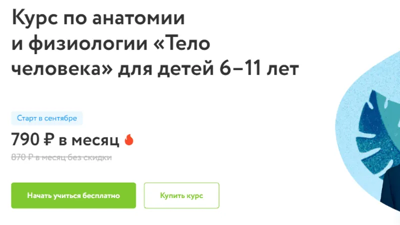 Курс по анатомии и физиологии Тело человека для детей 6–11 лет