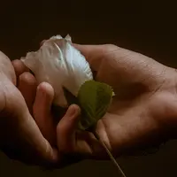 Восстановление психики людей, пострадавших в ЧС