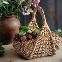 Совместник Корзина