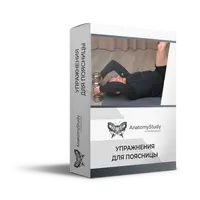 Упражнения для поясницы