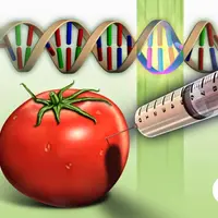 Иммунитет к ГМО, вирусам, ядам и другим опасным веществам