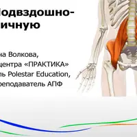 Про подвздошно-поясничную мышцу
