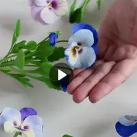 Анютины глазки