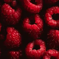 Профессиональная фуд-фотография: динамичные снимки