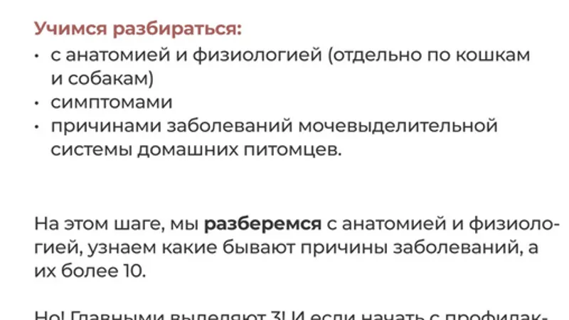Здоровье мочевыделительной системы домашних питомцев