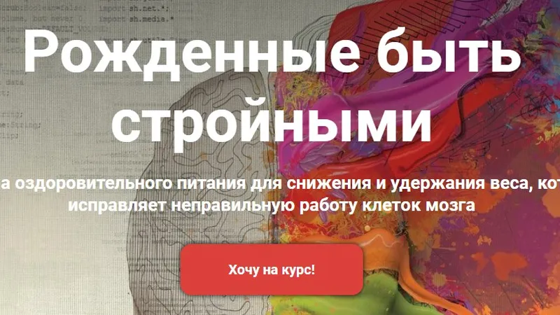 Система оздоровительного питания для снижения и удержания веса