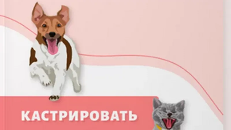 Гайд Кастрировать или помиловать