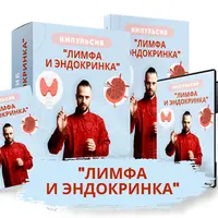 Импульсив. Лимфа и эндокринка