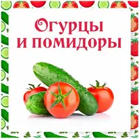 Огурцы и помидоры