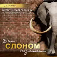 Энергетические протяжки «Быть СЛОНОМ осознанности»