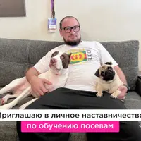 Посевы ВКонтакте