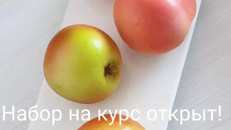 Авторский курс по зефиру