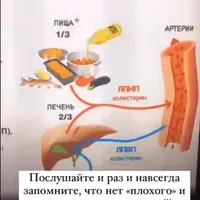 Как читать анализы