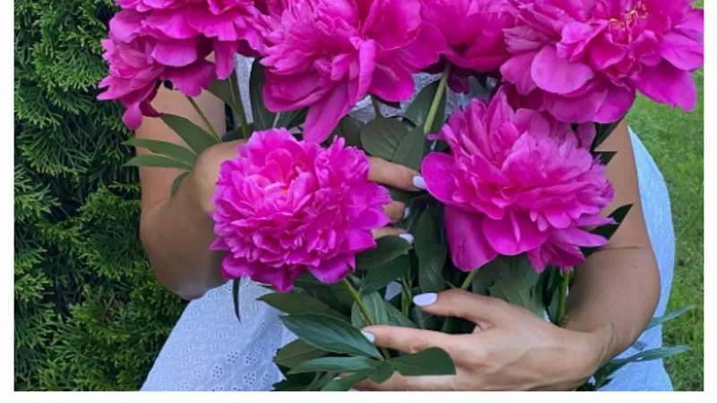 Спланируй участок мечты за 5 недель, делая простые пошаговые задания