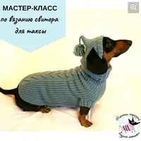 МК по вязанию свитера для таксы