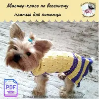 МК по вязанию платья питомцу Весна