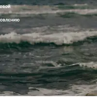 Руководство по восстановлению запасов железа и белка